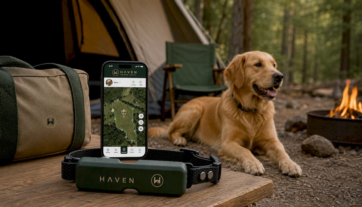 NAXWAVE Wireless GPS Dog Fence and Tracking Collar