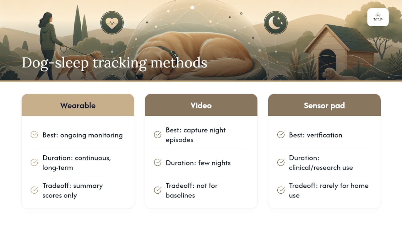 Three methods for tracking dog sleep