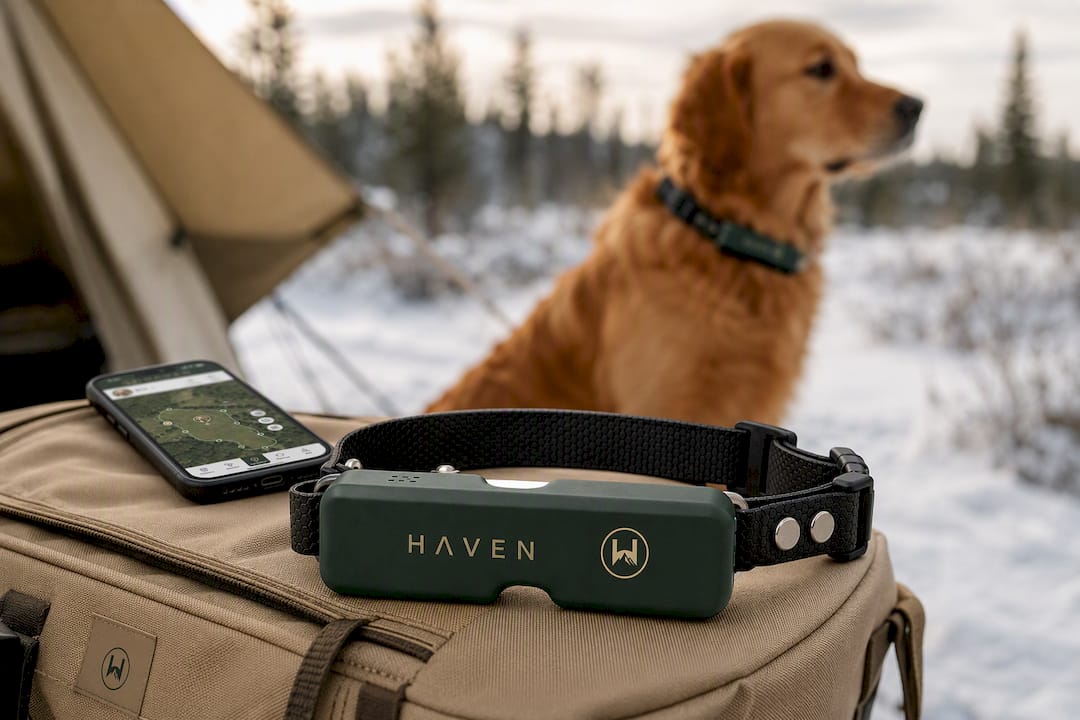 NAXWAVE Wireless GPS Dog Fence and Tracking Collar