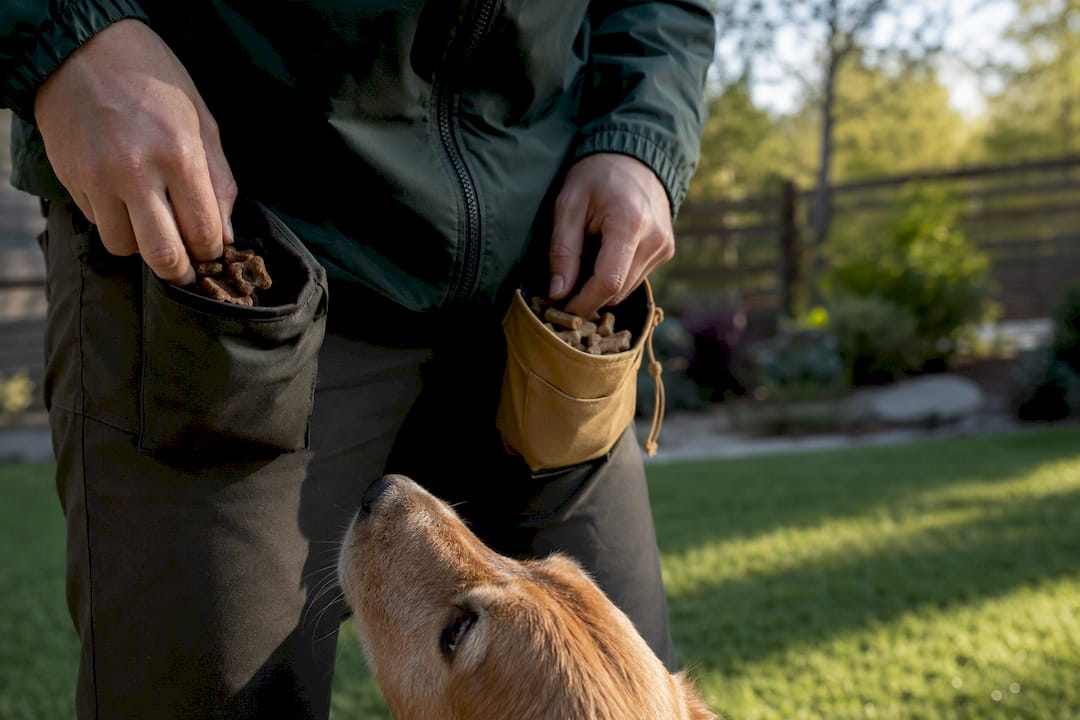 High-value treats used for dog recall