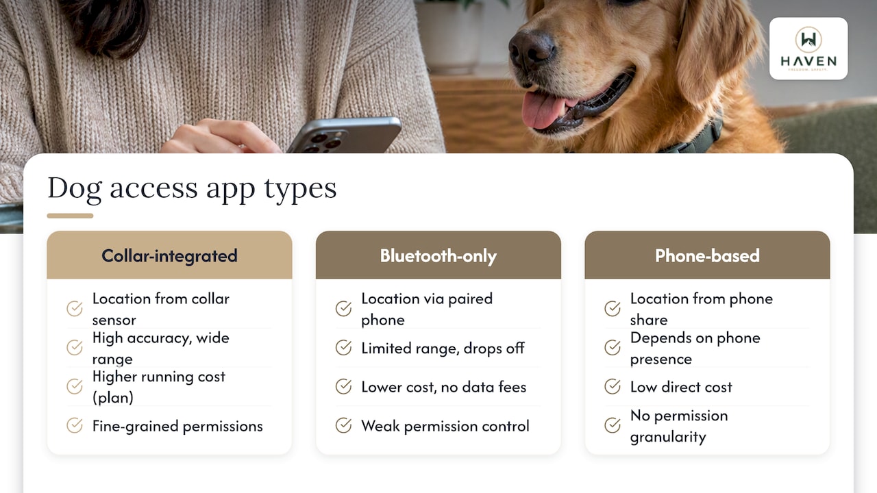 Comparison of top share dog access apps with pros and cons — overview diagram